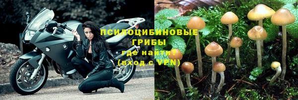 хмурый Нефтегорск