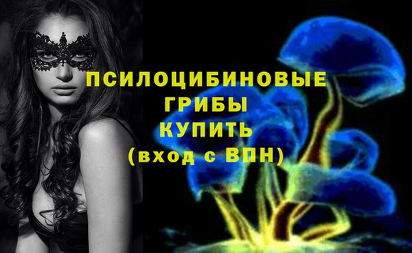 соль курить ск Новодвинск